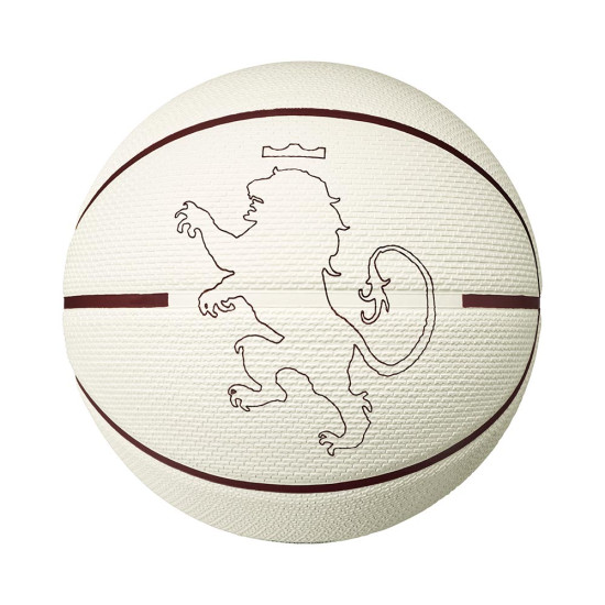Nike Μπάλα μπάσκετ Playground 8P 2.0 L James Deflated